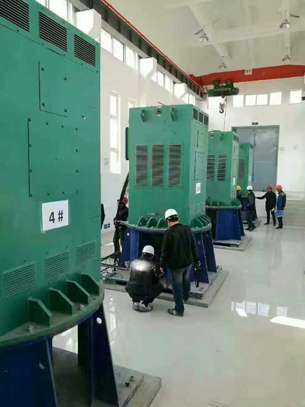 Y5603-2某污水处理厂使用我厂的立式高压电机安装现场